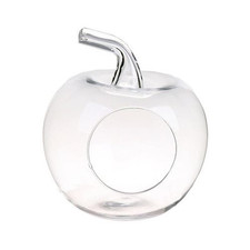 Dekoglas Kugelvase Terrarium APFEL H. 21cm klar transparent aus Glas Duif WA