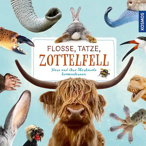 Flosse tatze zottelfell - flosse,, tatze,