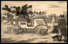 ALTE POSTKARTE KATZEN ALS CHAUFFEUR AUTOMOBIL 1914 CATS Katze cat chat chats car