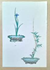IKEBANA IRIS BAMBOO Japanese