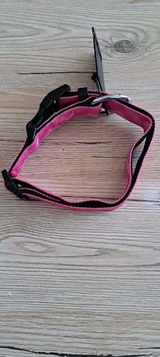 Hundehalsband leine in pink - +,
