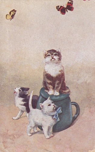 Künstler katzen - kÜnstler-ak,