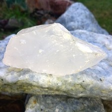 0,3Kg Girasol Rohstein