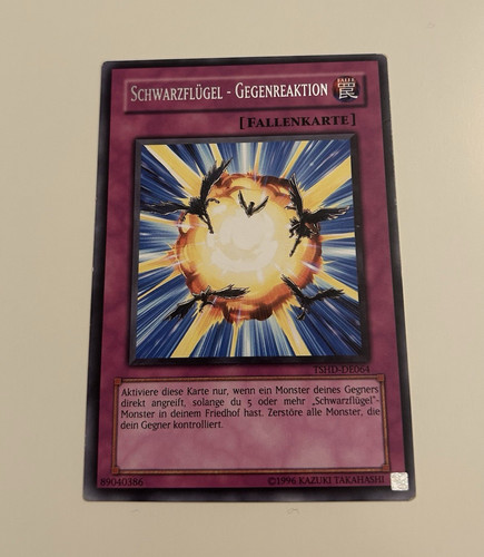 Schwarzflügel - ,