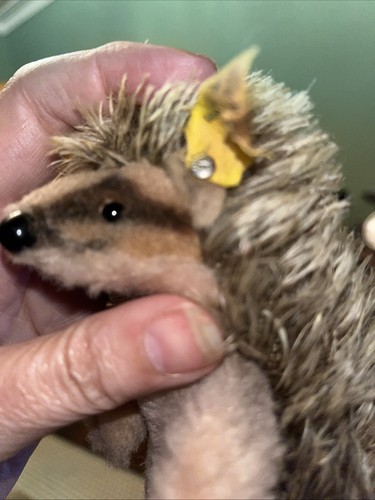 Steiff 60er jahre joggi igel - joggi,