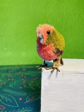 Steiff VORKRIEG Vogel——Rotkehlchen—Wollminiatur   Selten     ❤️❤️❤️