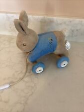 Peter Kaninchen Mitziehspielzeug Baby Kleinkind Spielzeug blaues Kaninchen