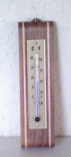 Thermometer nuß mit - nuß,