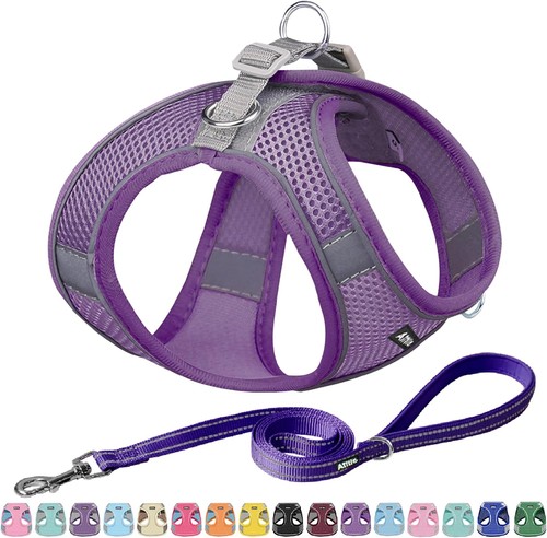 Hundegeschirr einstellbar - hundegeschirr,