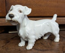 Porzellan Terrier Hund
