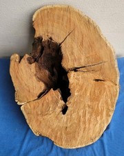 Baumscheibe Holzscheibe