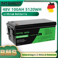 48V 100Ah LiFePO4 Lithium Batterie Solar Wohnmobil Boot Akku BMS Zyklen