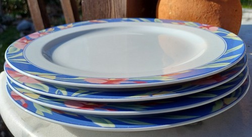 Speiseteller dm 24 - ,