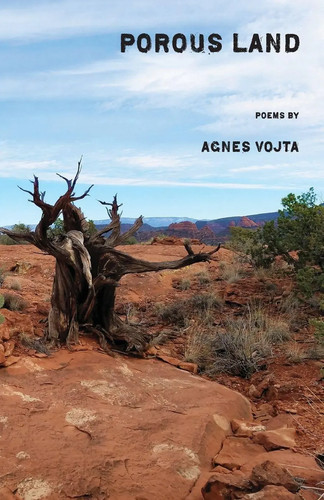 Porous land agnes - land, vojta