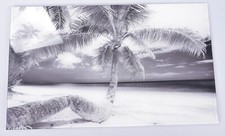 HD Echtglas Bild 50x30cm Palm Beach Summer Wandbild aus Glas Palmen Strand