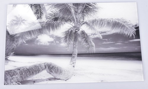 Echtglas bild 50x30cm palm - echtglas,