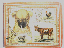 Tierbilderbuch mit tierbildern - mit,