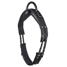 Longiergurt Waldhausen mit Handgriff Haltegurt Reitgurt mit 6 Ringen WB schwarz