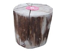 Schwedenfeuer ecoflame 404