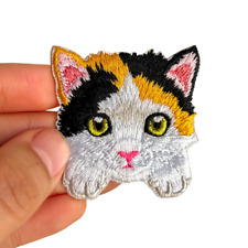 Schildpatt Katze Calico