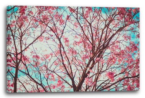 Wandbild blumenbilder - wandbild,