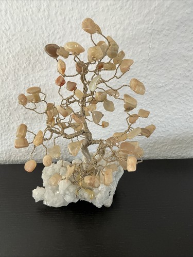 Stein edelstein bonsai geld - stein,