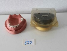 Kavo schaumodell - kavo,