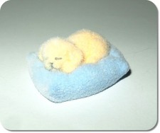 Miniatur Hund auf Kissen