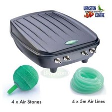 BLAGDON VIER AUSGÄNGE TEICH