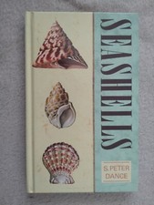 Seashells By S.Peter Dance