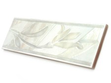 Fliesen Bordüren 25x8cm