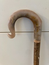 Widder Horn Hirten Gauner Gehen