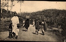 Ak Ceylon Sri Lanka, Teeernte - 4182912