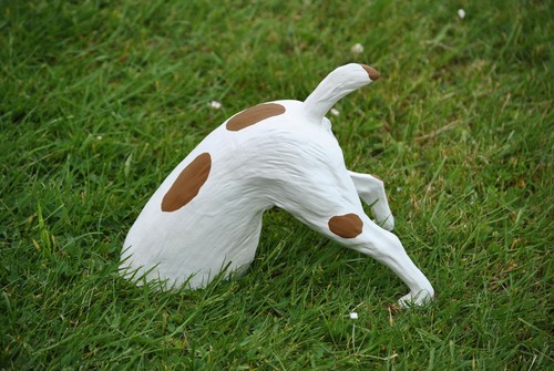 Hund grabend buddelnder braun - grabend,