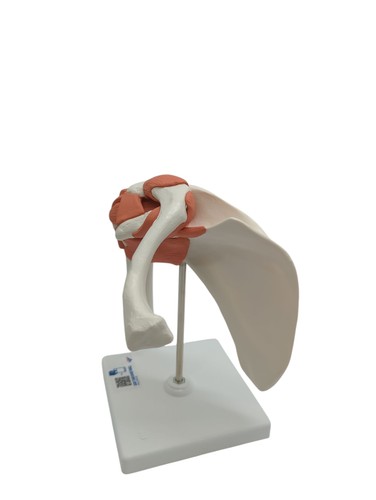 Scientific a80 - 3b,