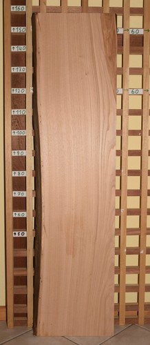 Kastanie bohle bastel - kastanie, bastel-