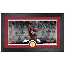 Michael Jordan Chicago Bulls NBA Career Coin Bild