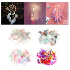 200 Stück Natürliche Bunte