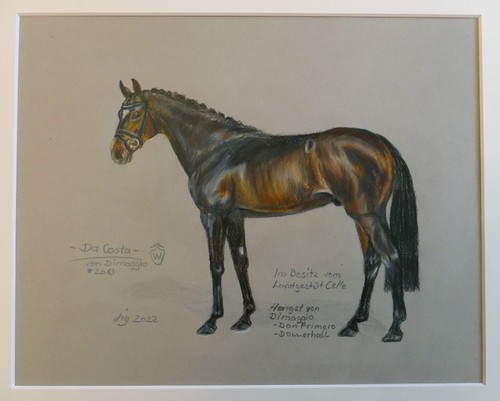 Hengst dimaggio originalbild - -,