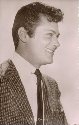 Tony curtis kolibri - curtis, kolibri-verlag