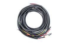 Kabelbaum für Triumph (TWN)