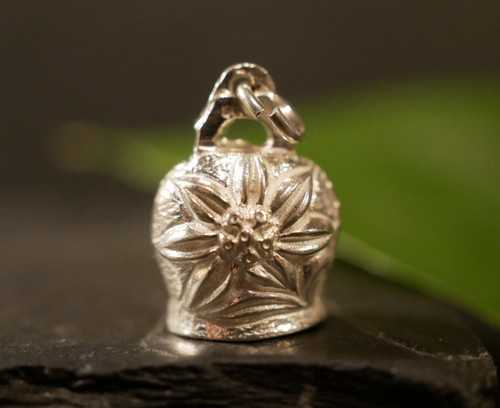 Zünftige silber anhänger - silber,