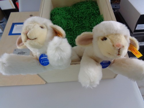 Steiff bose boeky lamm kfs - bose,