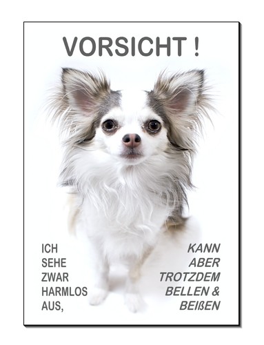 Chihuahua-Hund-Aluminium-Schil