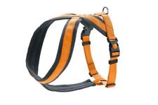 HUNTER Geschirr London Comfort