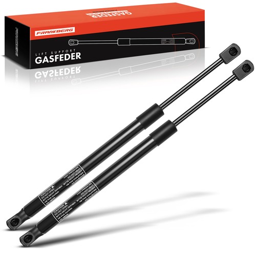 Gasfeder dämpfer - 2x,