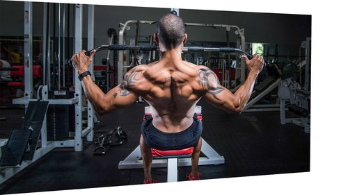 Leinwand fitness muskeln sport - leinwand,