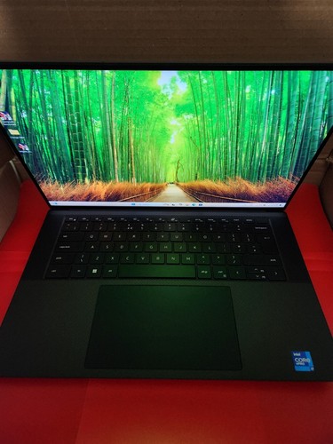 Dell gaming laptop - 64gb, ram