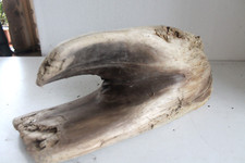 Schwemmholz Treibholz - extrem