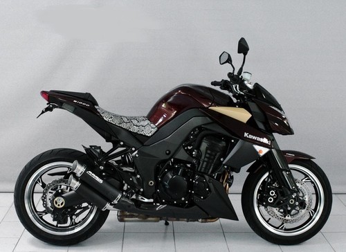 Kawasaki 1000 2010 2013 - 1000/, sx